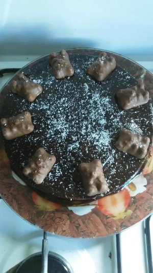 Moelleux à la noix de coco nappé de chocolat