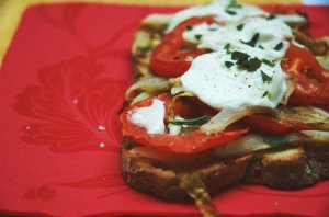 Tartines d'endives, tomates et mozzarella