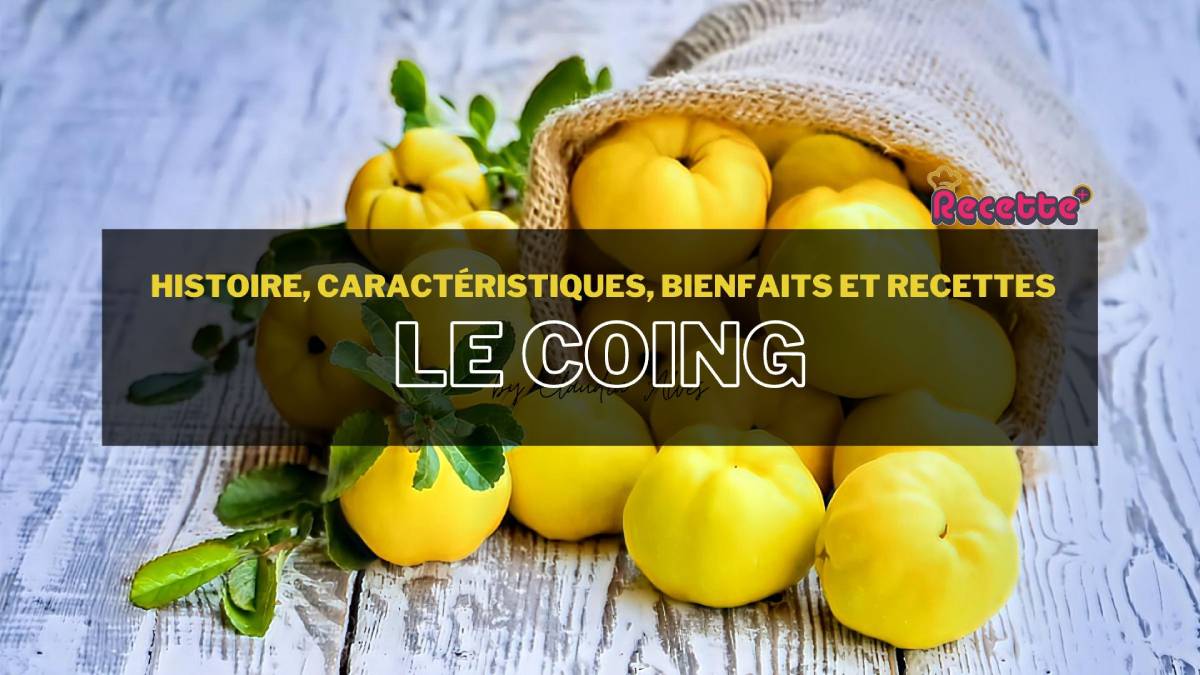 Le coing : histoire, caractéristiques, bienfaits et recettes