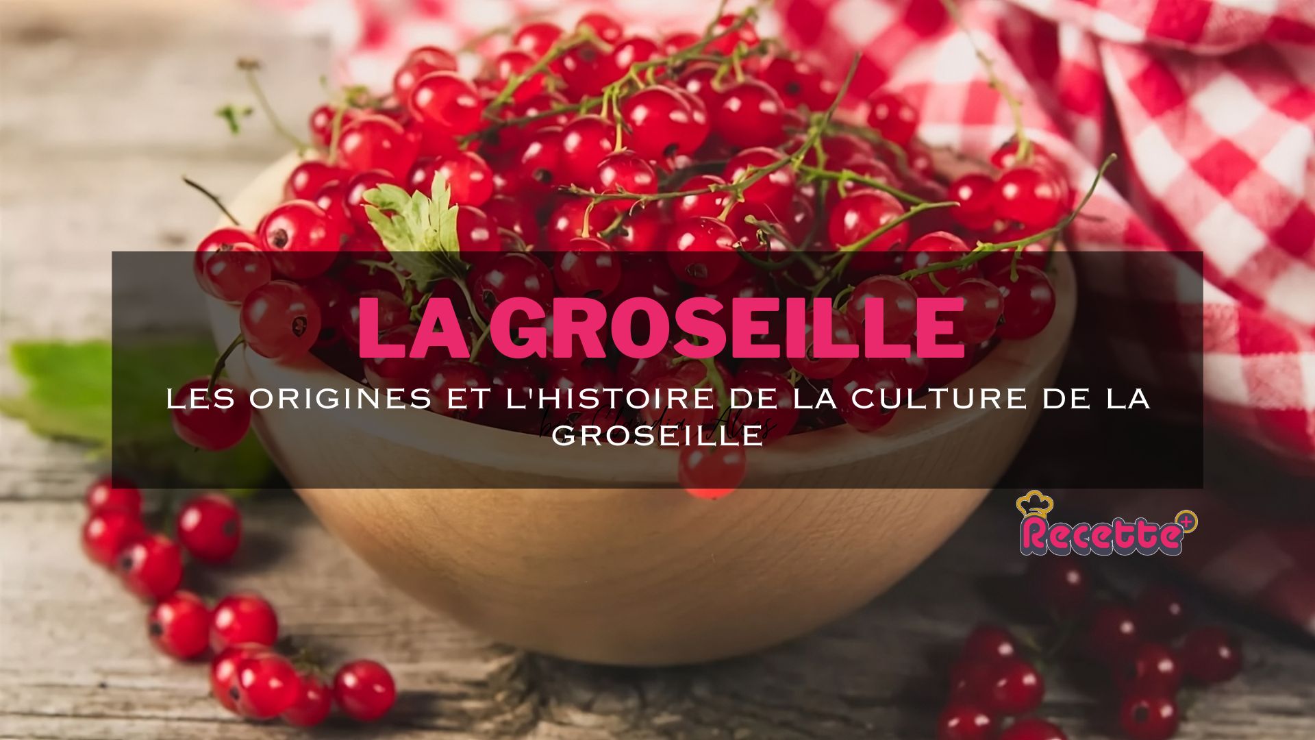 Explorons les Origines et l'Histoire de la Culture de la Groseille