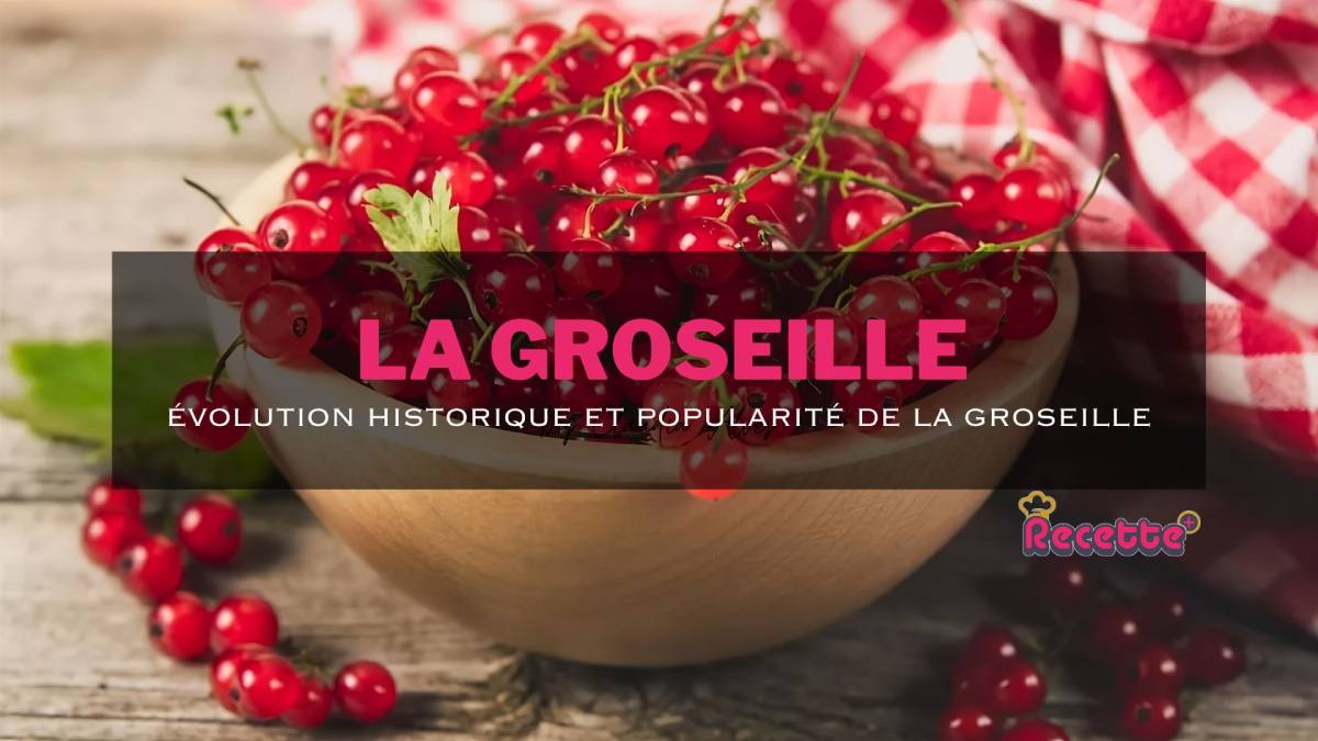 Évolution historique et popularité de la groseille : une exploration complète