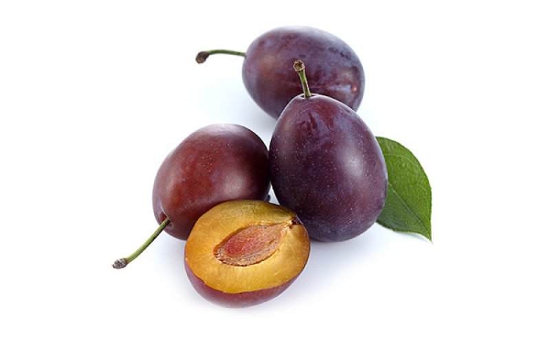 Quetsche