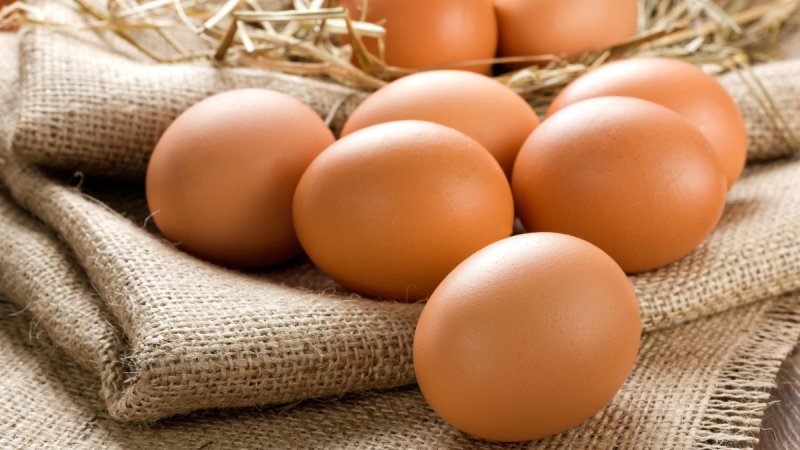 oeuf