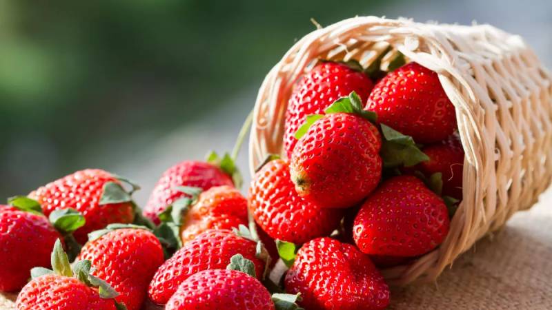 fraise