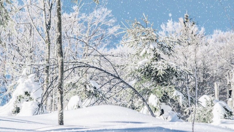 hiver