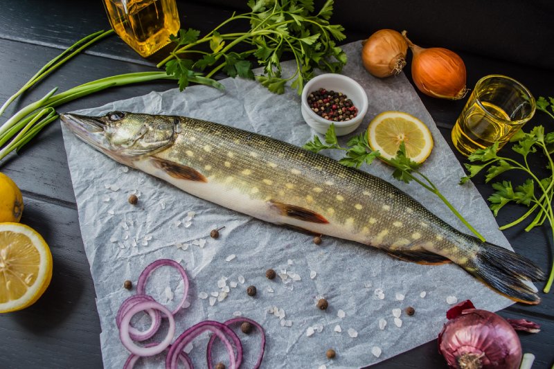 brochet