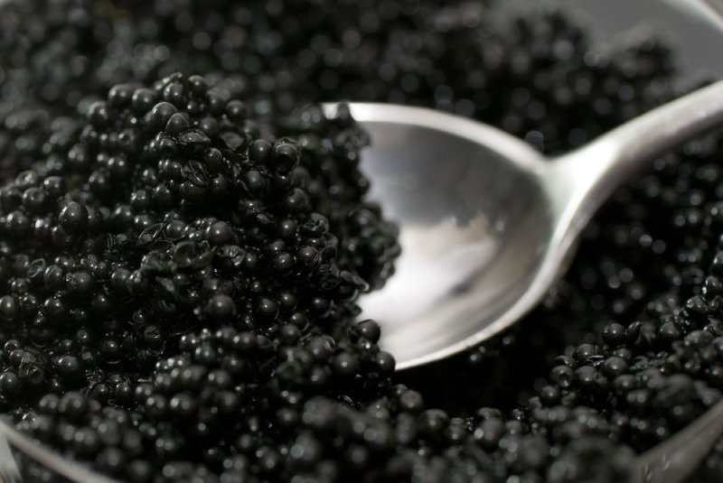 caviar
