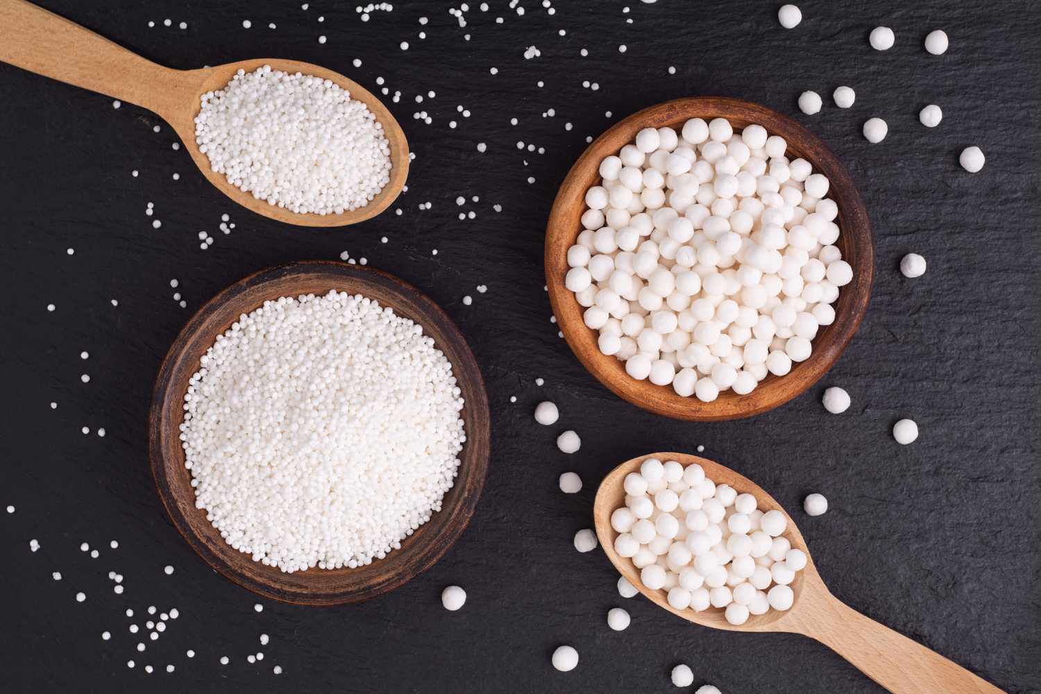 tapioca