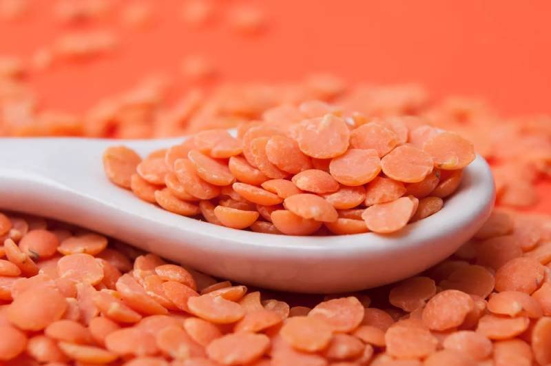 lentilles corail