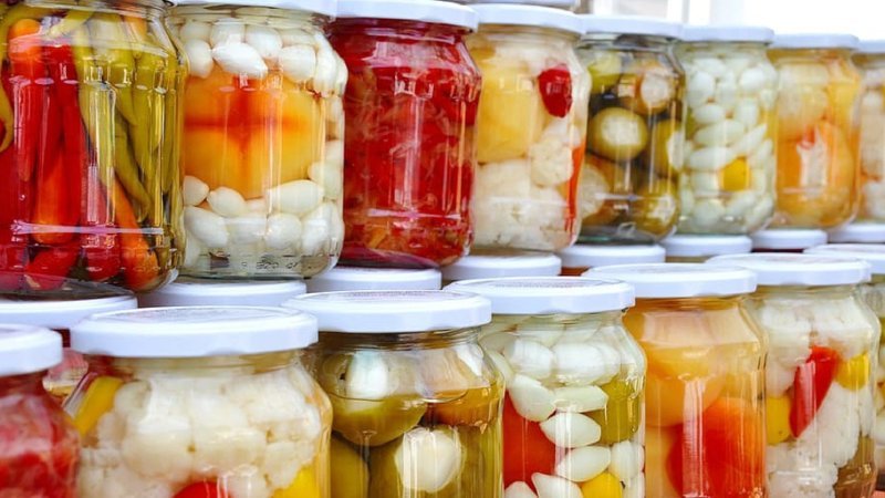 fermentation