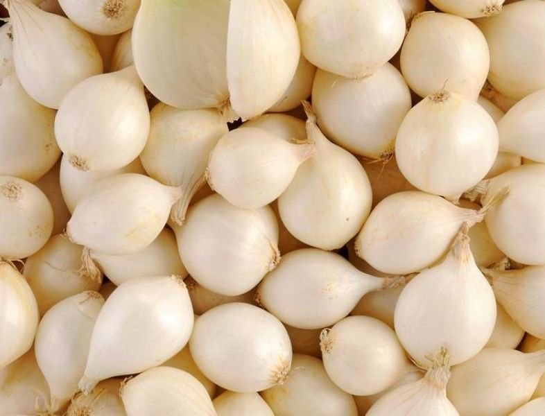 oignons grelots