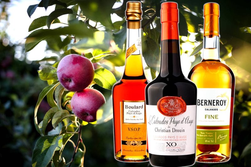 calvados