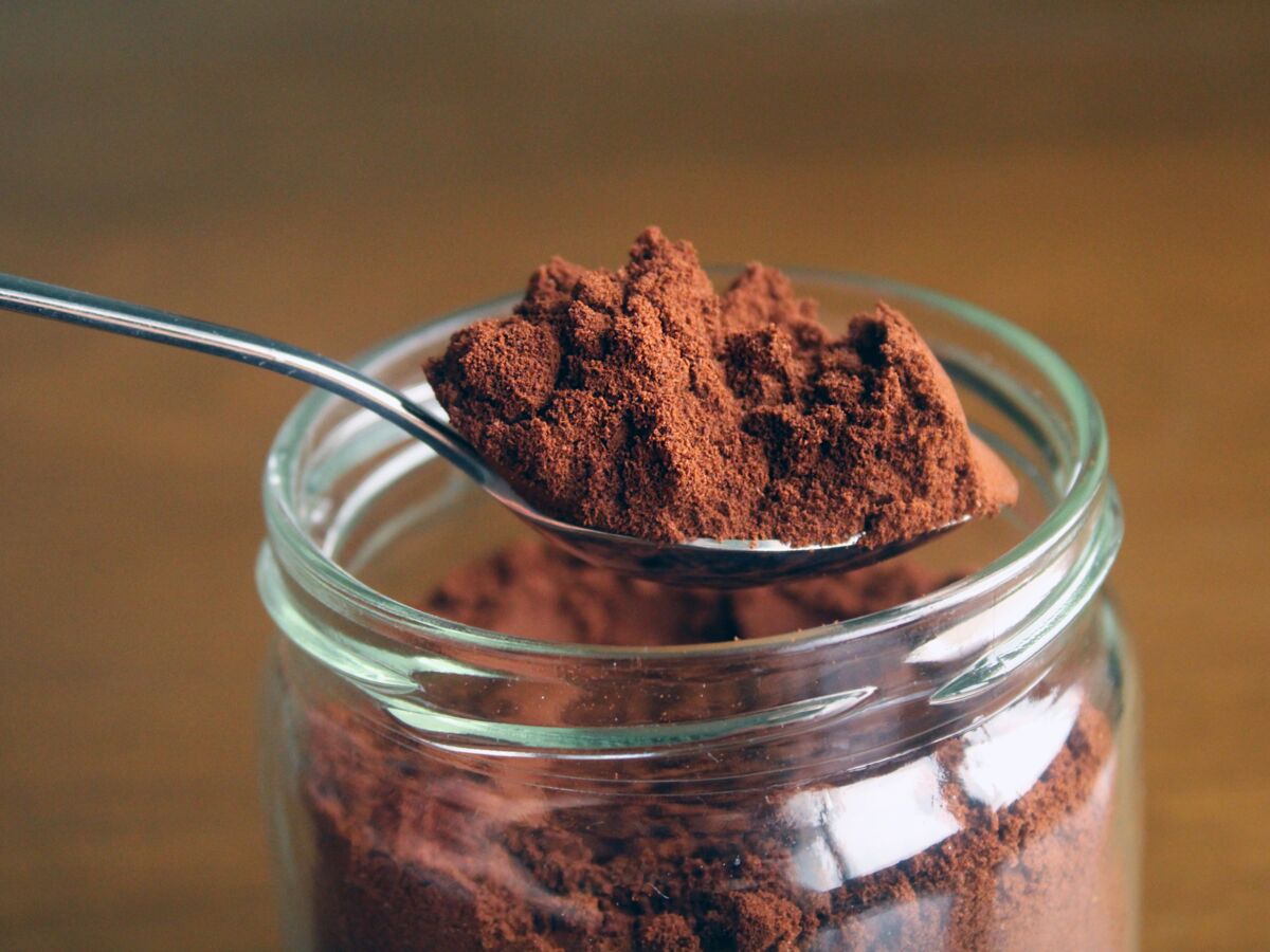 chocolat en poudre