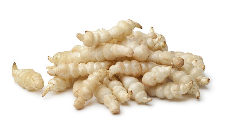crosnes