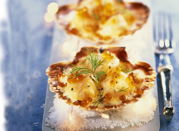 saint-jacques de noël