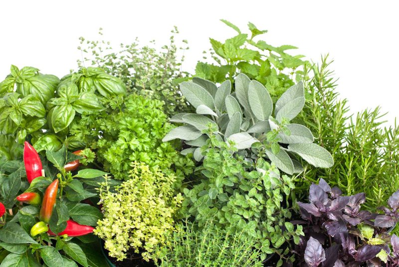 aromates