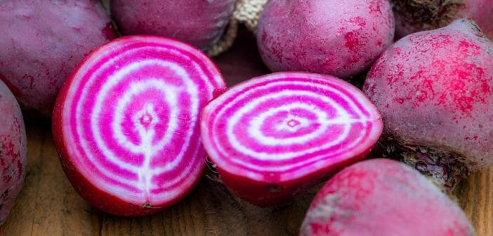 betterave chioggia