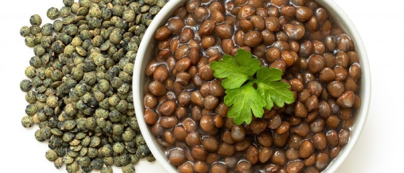 lentilles vertes du puy