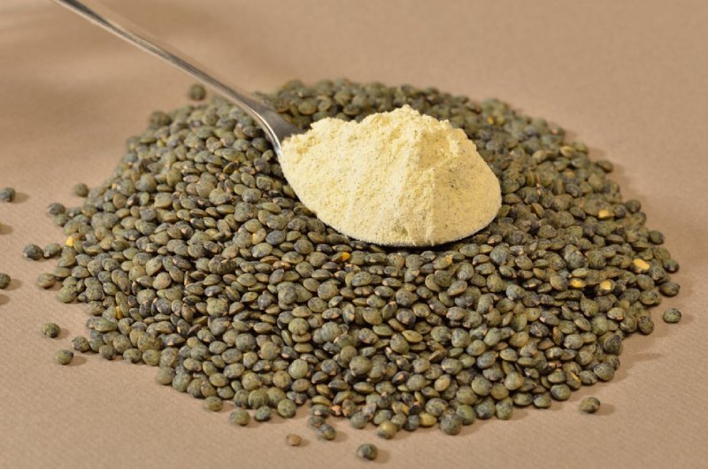 farine de lentilles