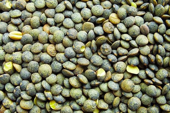 lentilles vertes