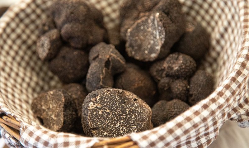 truffes noires