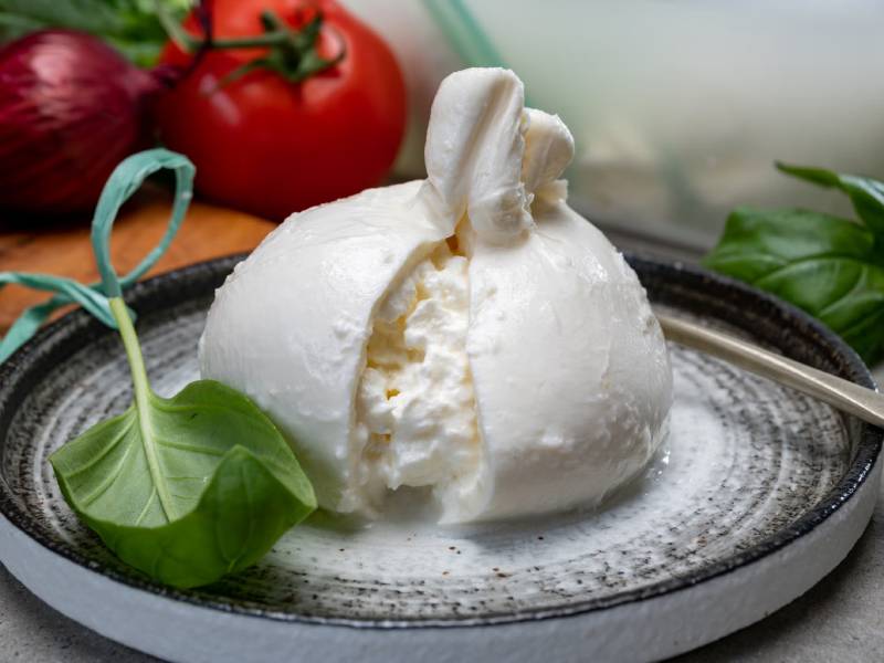burrata