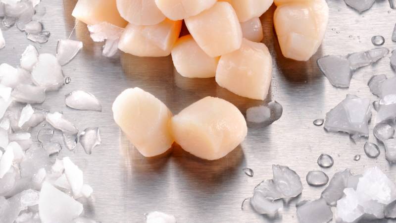 Recettes aux Noix de Pétoncle