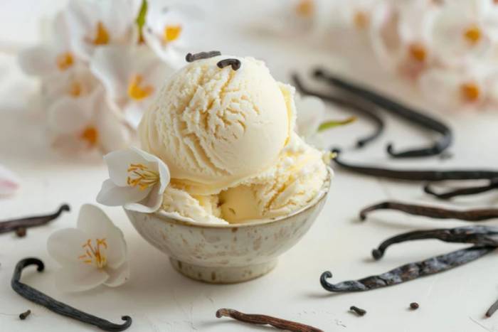 Recettes Glace Vanille