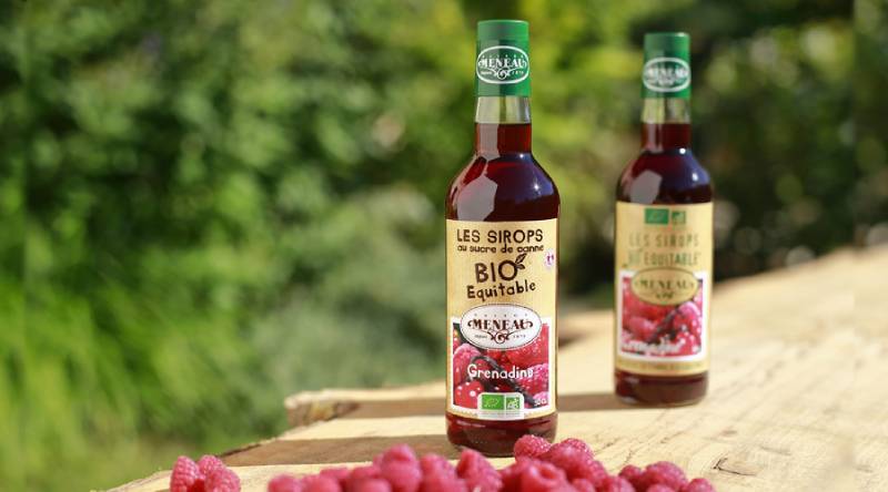 Recettes de Sirops de Fruits