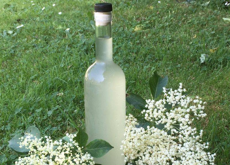 Recettes de Vin de Sureau