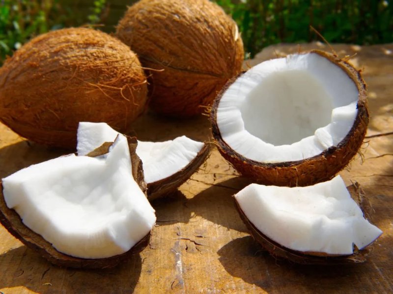 Tout savoir sur la noix de coco