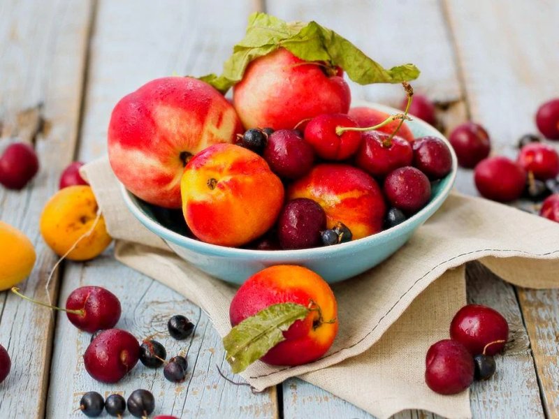 Tout savoir sur les Fruits à noyaux