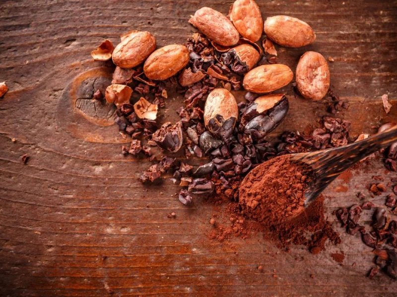 Cacao : utilisations, bienfaits et idées de recettes