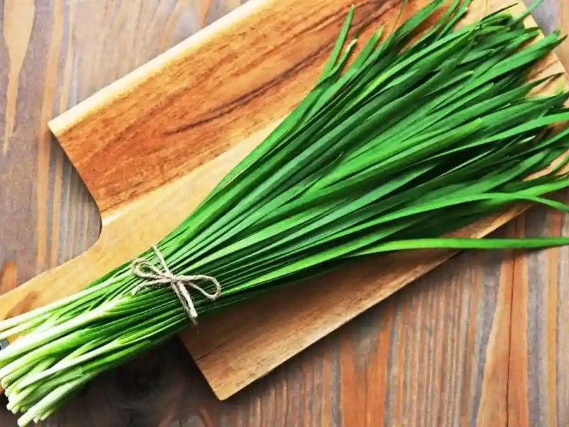 Tout sur la ciboulette, Bienfaits, Cuisson et idées de recettes