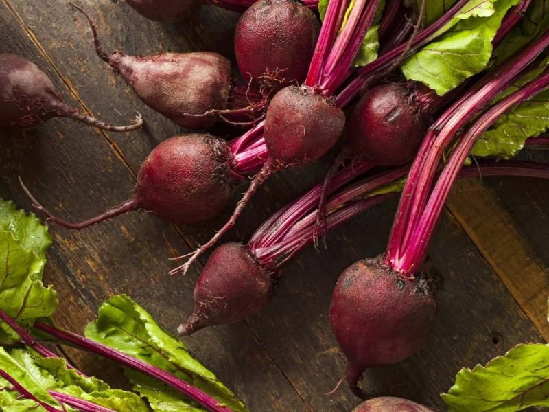 Tout savoir sur la betterave, bienfaits et idées de recettes