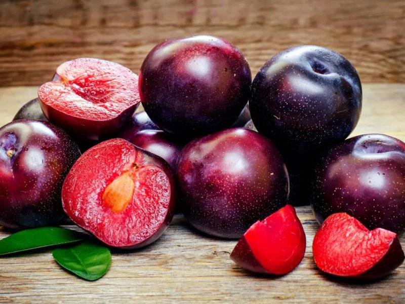 Tout savoir sur la prune