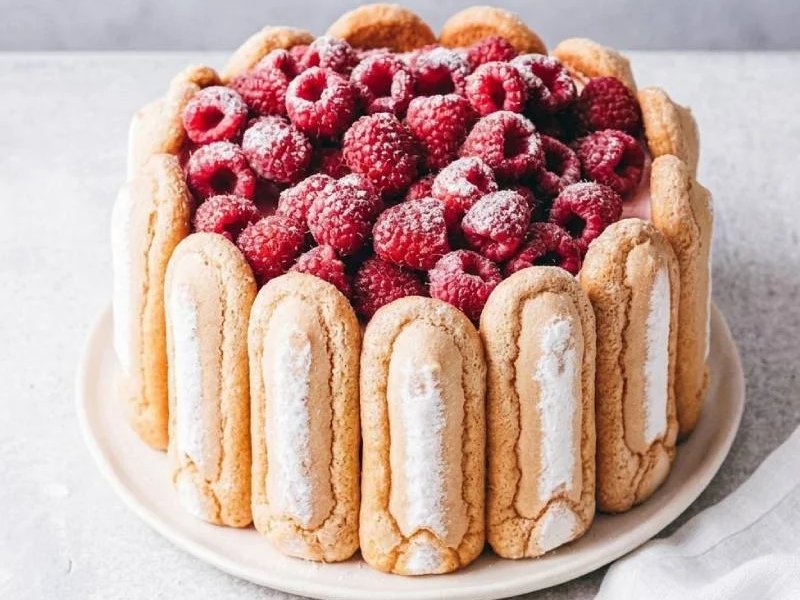 Charlotte aux Framboises : La Recette Maison Élégante et Facile