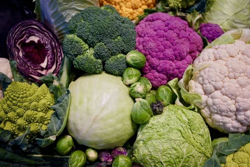 Les légumes crucifères : trésors nutritifs de notre cuisine