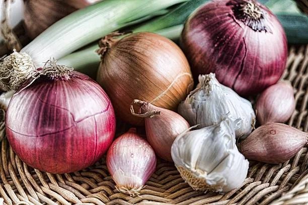 Les Légumes Bulbes : Un Univers à Découvrir