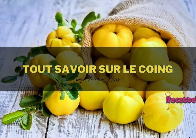 Tout savoir sur le coing : origine, bienfaits et recettes