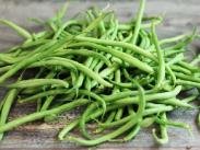 Haricot vert