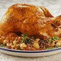 32 Meilleures Recettes de Dinde pour un Repas de Noël Inoubliable
