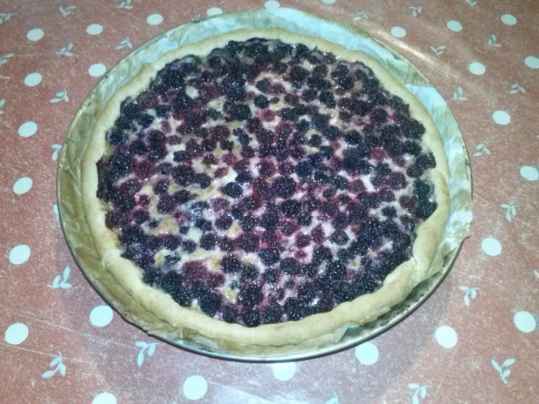 Tarte aux mûres et pain d'épices