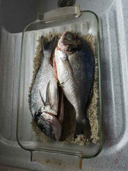 Dorade en croûte de sel