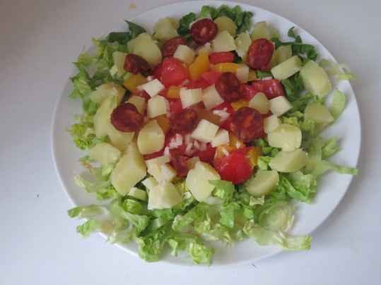 Salade-repas aux couleurs et saveurs d'Espagne