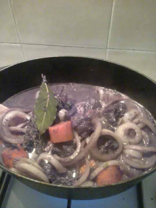 daube de toro