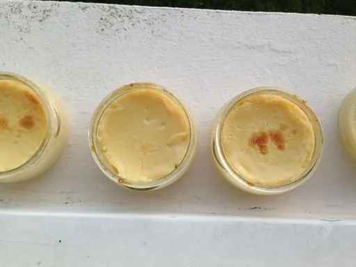 Crème caramel délicieuse et facile