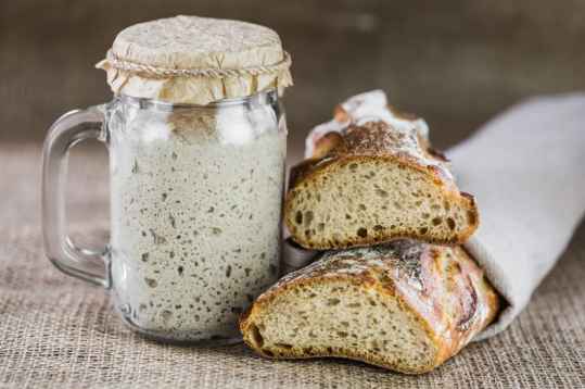 levain facile