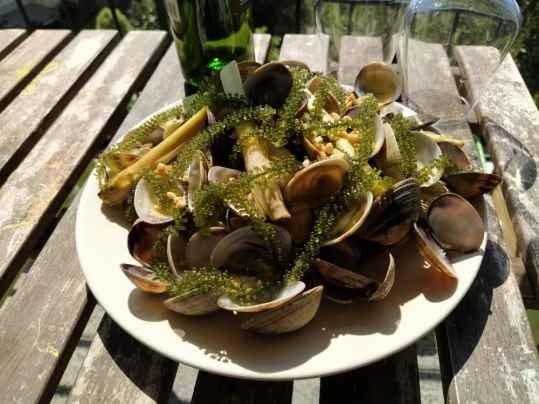 Clams au caviar végétal