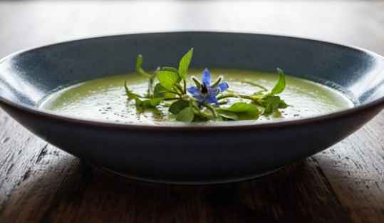 Soupe aux salicornes